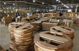 Thúc đẩy doanh nghiệp tư nhân, nâng cao hiệu quả doanh nghiệp nhà nước