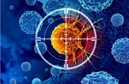 Thiết bị siêu nhỏ giúp phát hiện đồng thời nhiều dấu hiệu ung thư
