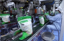 Tận dụng FTA, mở rộng và đa dạng hóa thị trường xuất khẩu gạo