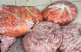 Bắt giữ gần 1 tạ thực phẩm bẩn vận chuyển qua biên giới