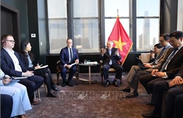 Phó Thủ tướng Thường trực Nguyễn Hòa Bình tiếp lãnh đạo LHQ và các tập đoàn hàng đầu Hoa Kỳ