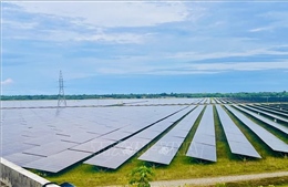 Con đường chuyển đổi bền vững cho Việt Nam