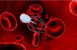 Robot DNA siêu nhỏ săn lùng virus và đưa thuốc vào cơ thể