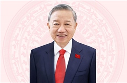 Tổng Bí thư, Chủ tịch nước Tô Lâm