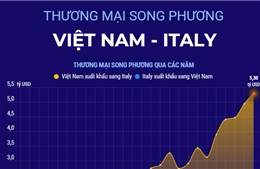 Thương mại song phương Việt Nam - Italy