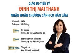Giáo sư-Tiến sỹ Đinh Thị Mai Thanh nhận Huân chương Cành cọ Hàn lâm