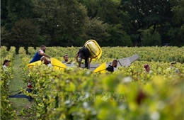 Số doanh nghiệp phá sản tại Pháp cao nhất kể từ năm 2009