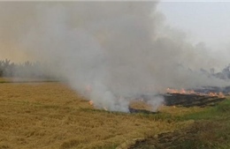 Cảnh báo nguy cơ hỏa hoạn do đốt cỏ, rác trong cao điểm mùa khô 2026