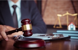 Kết luận của Bộ Chính trị về Đề án nghiên cứu xây dựng chế định luật sư công