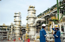 Thương mại hóa nhiên liệu 'xanh'