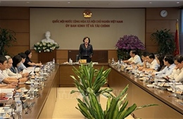 Phó Chủ tịch Quốc hội Nguyễn Thị Hồng làm việc với Thường trực Ủy ban Kinh tế và Tài chính