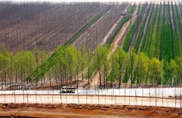 Vạn Lý Trường Thành Xanh của Trung Quốc được vinh danh trên Nature