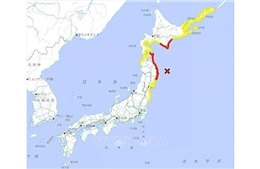 Người Việt trong vùng động đất tại Nhật Bản đều an toàn