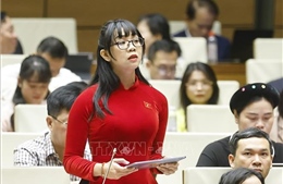 Nghị quyết phê chuẩn đại biểu Quốc hội hoạt động chuyên trách khóa XVI