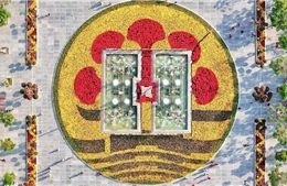 Lễ hội Hoa Phượng Đỏ - Thanh âm sâu lắng của thành phố Cảng