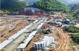 Cấp bách giải phóng mặt bằng diện tích đất có rừng thuộc cao tốc Tân Phú - Bảo Lộc