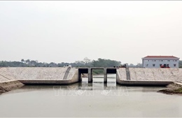 Gia cố 'lá chắn' trước thiên tai