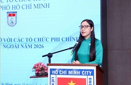 Tối ưu hóa nguồn lực từ các tổ chức phi chính phủ nước ngoài