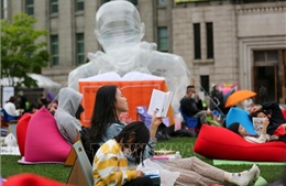 'Hạ tầng mềm' cho phát triển bền vững