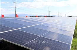 Điểm tin kinh tế thế giới nổi bật ngày 28/4/2026