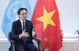 Khẳng định mối quan hệ Đối tác chiến lược toàn diện ngày càng chặt chẽ, hiệu quả giữa Việt Nam và Nhật Bản