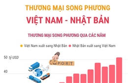 Thương mại song phương Việt Nam - Nhật Bản