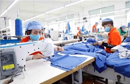 Khai thác hiệu quả tiềm năng hợp tác thương mại Việt Nam - Sri Lanka