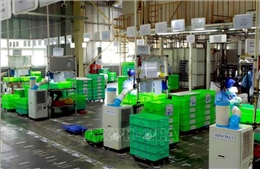 Đại hội XIV Công đoàn Việt Nam: Chuyển đổi số lan tỏa từ cơ sở
