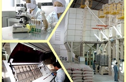 Từ xuất khẩu truyền thống đến cuộc chơi giá trị cao của Afiex