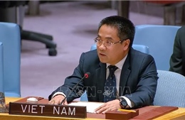Việt Nam kêu gọi đối thoại và trung gian hòa giải nhằm thúc đẩy hòa bình bền vững ở Trung Đông