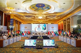 BRICS thông qua Tuyên bố Indore, thúc đẩy hợp tác nông nghiệp và an ninh lương thực toàn cầu