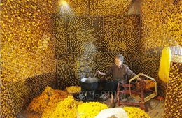 Hành trình khôi phục chuỗi tơ tằm, xây dựng thương hiệu Lụa Hoa Lư