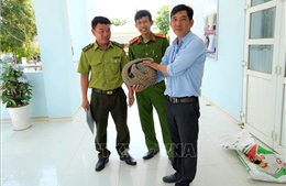 Tiếp nhận một cá thể tê tê quý hiếm từ người dân