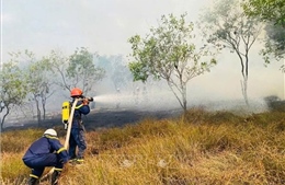 Quảng Trị dập tắt vụ cháy rừng tràm tại khu vực giáp ranh xã Nam Cửa Việt và Triệu Cơ