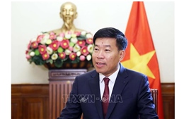 Bộ Ngoại giao hỗ trợ doanh nghiệp thúc đẩy hợp tác với Australia và New Zealand