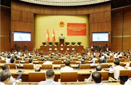 Hội nghị toàn quốc nghiên cứu, học tập, quán triệt và triển khai thực hiện Nghị quyết số 10-NQ/TW