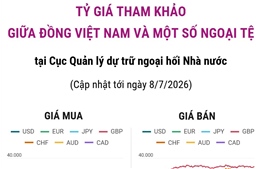 Tỷ giá tham khảo giữa đồng Việt Nam và một số ngoại tệ ngày 8/7/2026