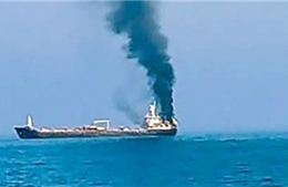 Xung đột tại Trung Đông: Ấn Độ triệu đại diện Iran sau vụ tấn công tàu thương mại
