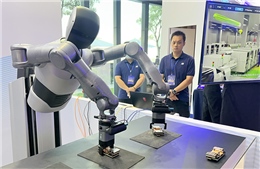 Rà soát công tác tuyển sinh đại học, thông báo chuẩn đầu vào chương trình đào tạo tài năng, vi mạch bán dẫn