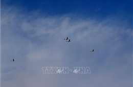 Nga phát triển lá chắn 'mạng nhện' chống UAV
