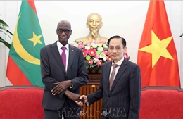 Việt Nam luôn trân trọng quan hệ hữu nghị, truyền thống với các quốc gia châu Phi