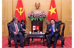 Tăng cường trao đổi lý luận, chính sách giữa Đảng Cộng sản Việt Nam và Đảng Dân chủ Tự do Nhật Bản