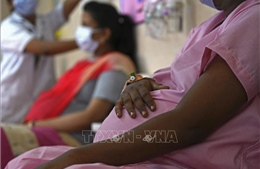 Không gian xanh giúp giảm stress mạn tính thai kỳ