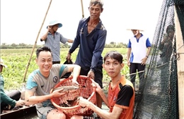 Khám phá nét văn hóa độc đáo giữa 'Đồng Tháp Mười thu nhỏ'