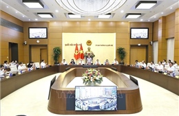 Hoàn thiện thể chế, tháo gỡ 'điểm nghẽn', tạo động lực phát triển đất nước