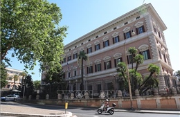 Liban và Israel đàm phán trực tiếp về giải giáp Hezbollah