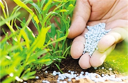 Mỹ thúc đẩy xuất khẩu phân bón sinh học sang Việt Nam