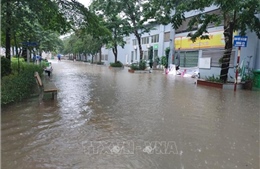 Bão số 4: Hà Nội chủ động ứng phó nguy cơ úng ngập, cây gãy đổ 