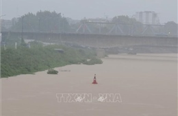 Bắc Ninh phát lệnh báo động lũ cấp III trên sông Lục Nam và sông Thương