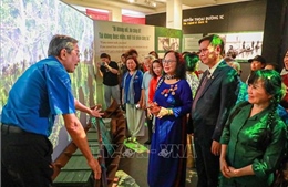 Khai mạc trưng bày 'Thời thanh xuân từ Đường Trường Sơn đến Đường 1C huyền thoại'